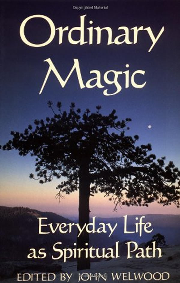 Ordinary Magic Book