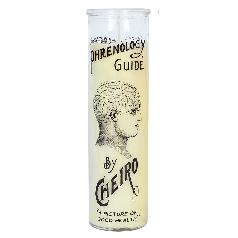 Cabinet of Curiosities Phrenology Candle in Glass