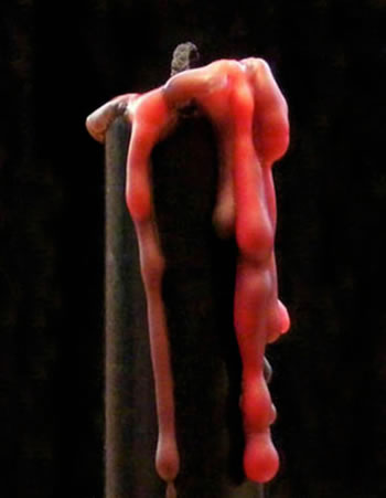 Weeping Rose Candle