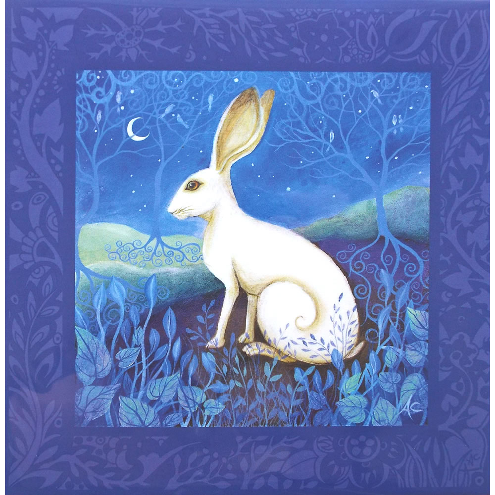 White Hare Greetings Card by Amanda Clark