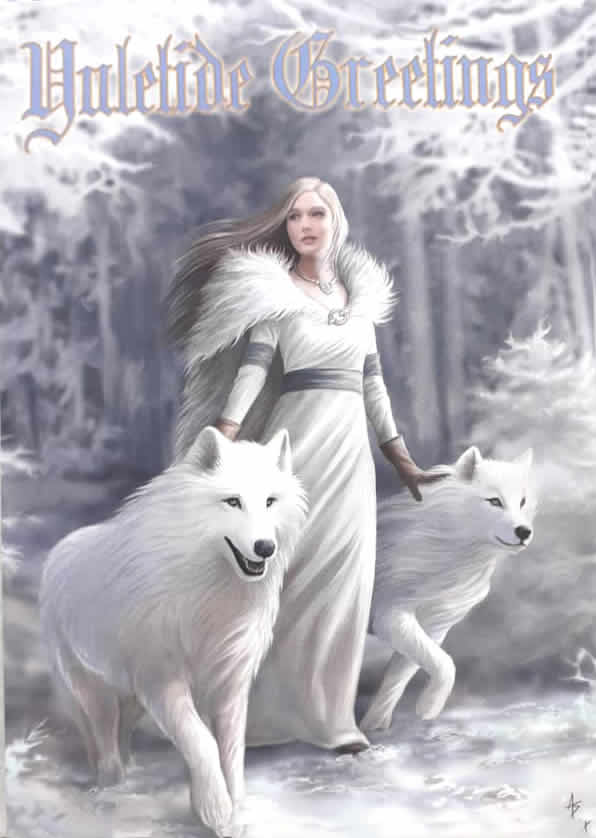 Anne Stokes Winter Guardians Greetings Card