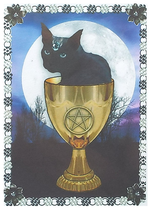 Black Cat Greetings Card by Elaine Sheldrake