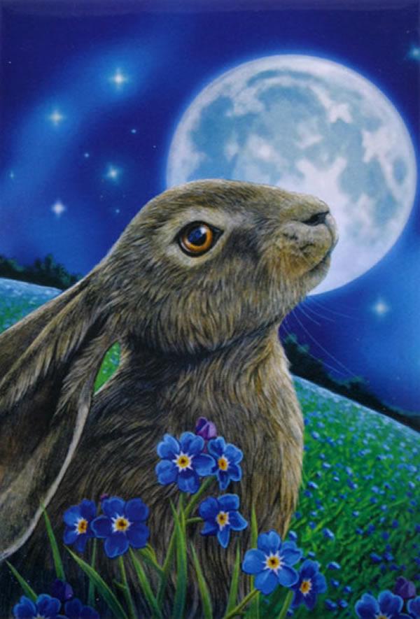 Blue Moon Hare Greetings Card by Lisa Parker