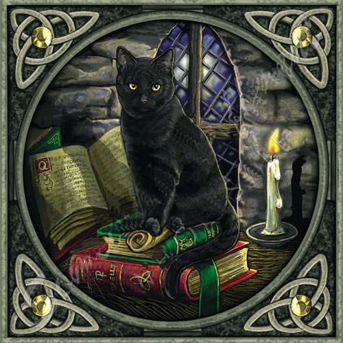 Black Cat with Spell Book Greetings Card by Lisa Parker