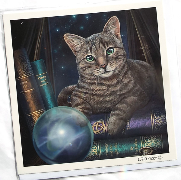 The Fortune Teller Greetings Card by Lisa Parker