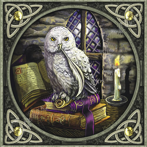 Snowy Owl and Spell Book Greetings Card by Lisa Parker