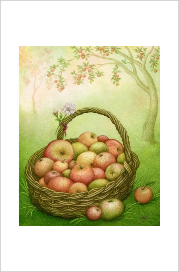 Apples Greetings Card by Meraylah Allwood