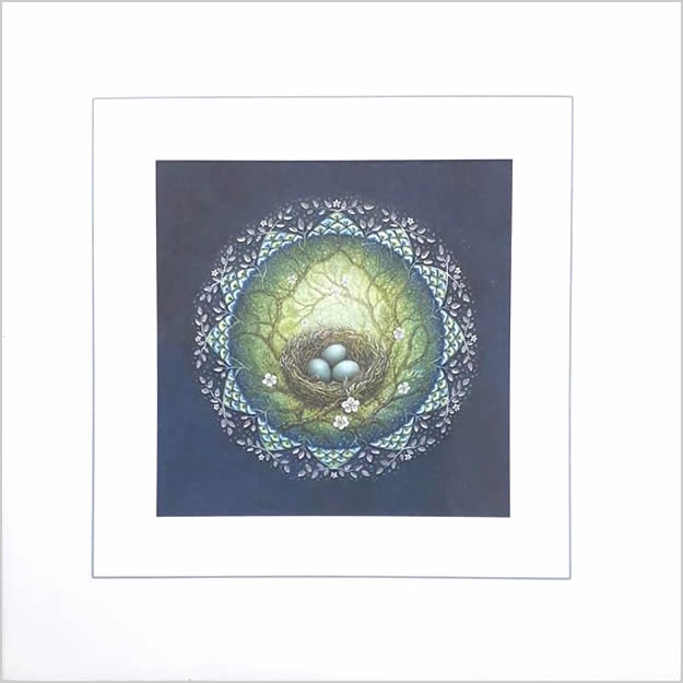 Minature Nest Greetings Card by Meraylah Allwood