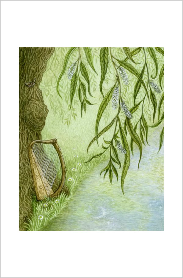 Willow Greetings Card by Meraylah Allwood