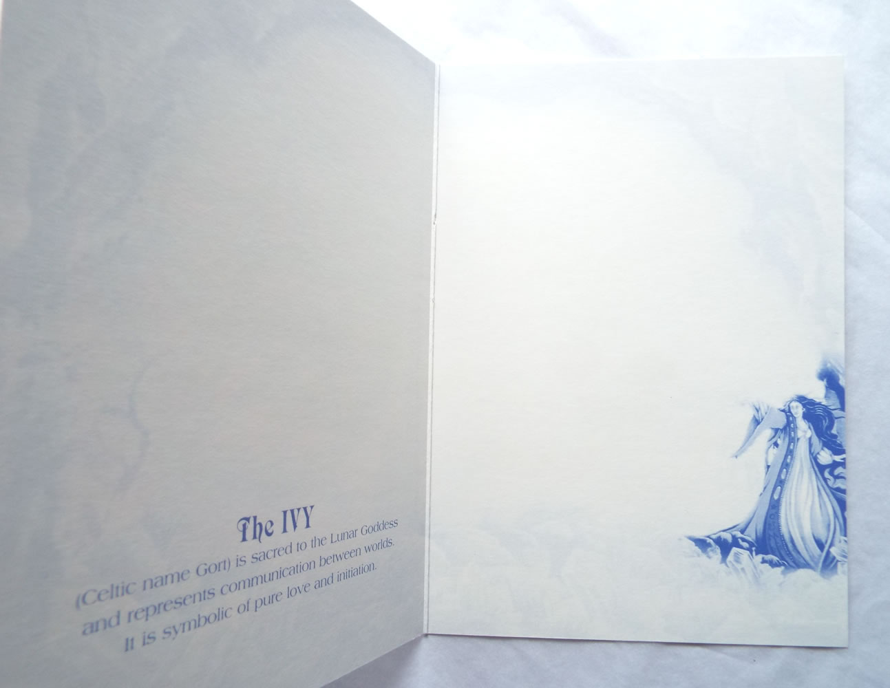 Ivy Enchanted Tree Greetings Card Inside