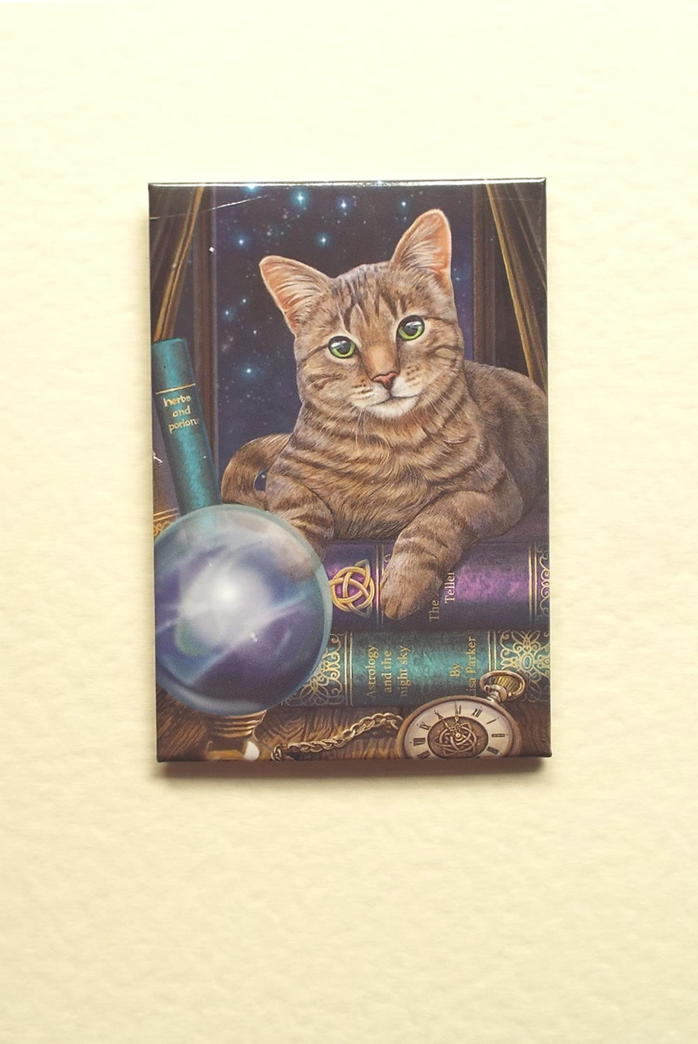 Fortune Teller Greetings Card by Lisa Parker with Detachable Magnet
