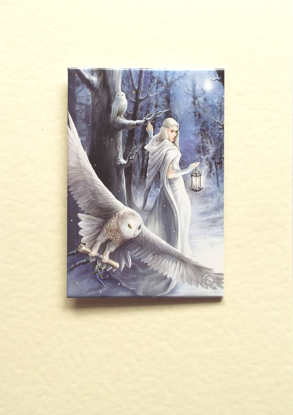 Midnight Messenger Greetings Card by Anne Stokes with Detachable Magnet