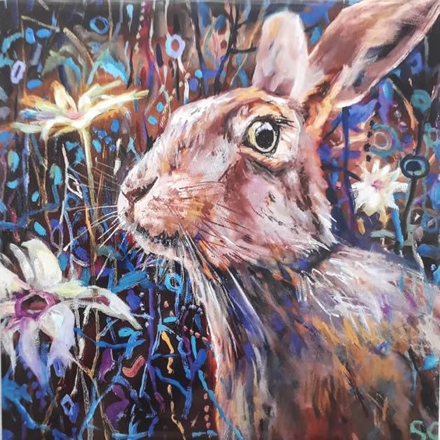 Daisy Hare Greetings Card by Sue Gardner