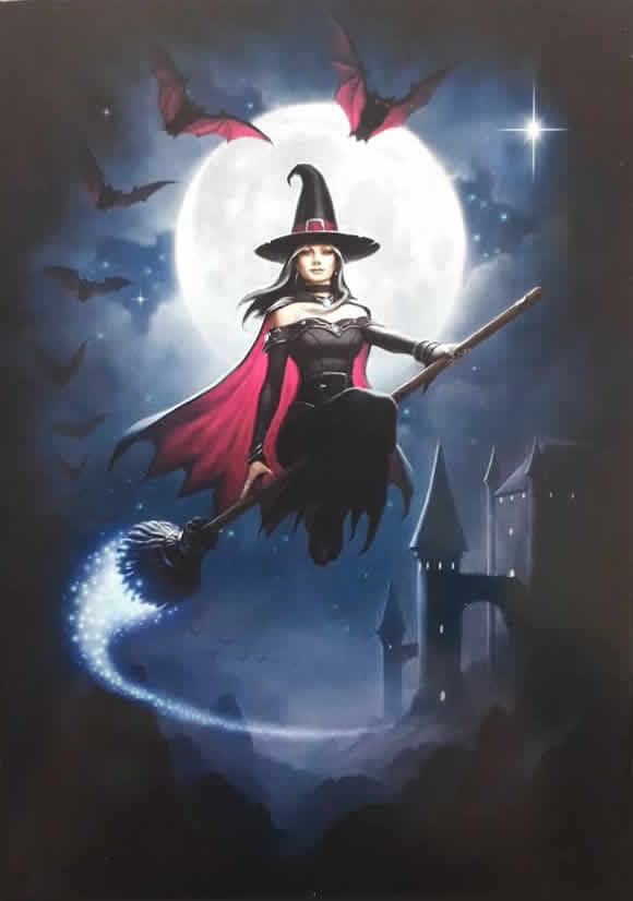 Witch Flight Greetings Card