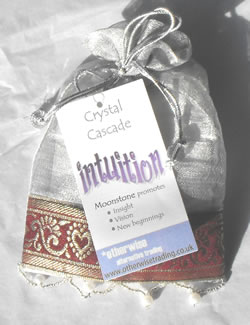 Intuition Crystal Cascade Ivory Organza Bag