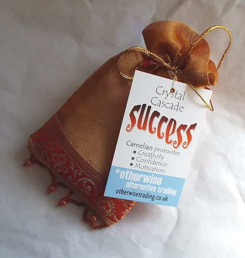 Success Crystal Cascade Orange Organza Bag