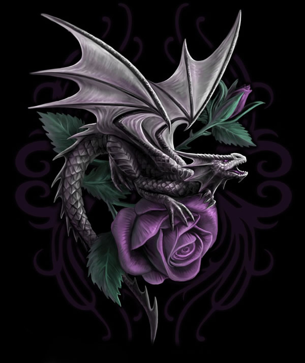 Dragon Beauty Artwork
