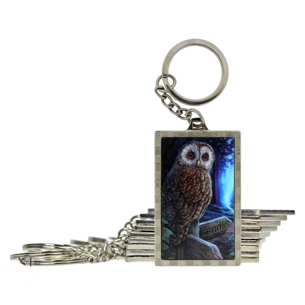 Way of the Witch Pendle Owl 3D Key Ring