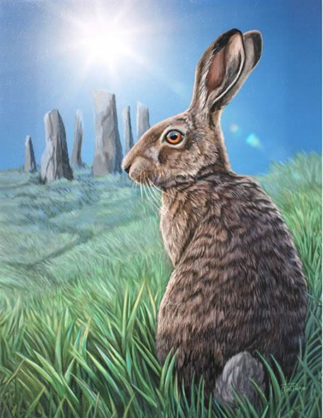 Solstice Hare Wall Canvas