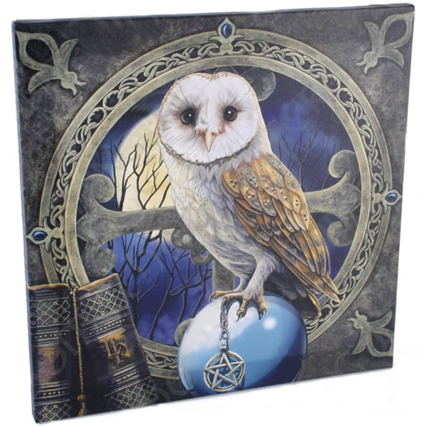 Spellcaster Owl Wall Art Canvas