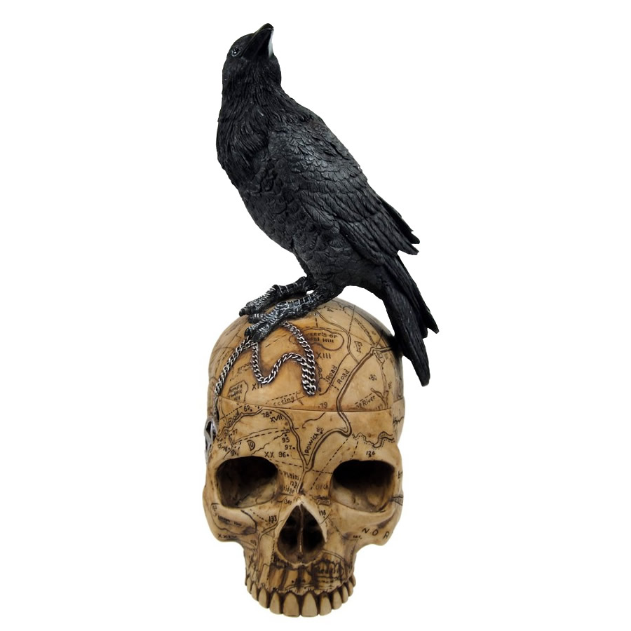 Raven Skull Box
