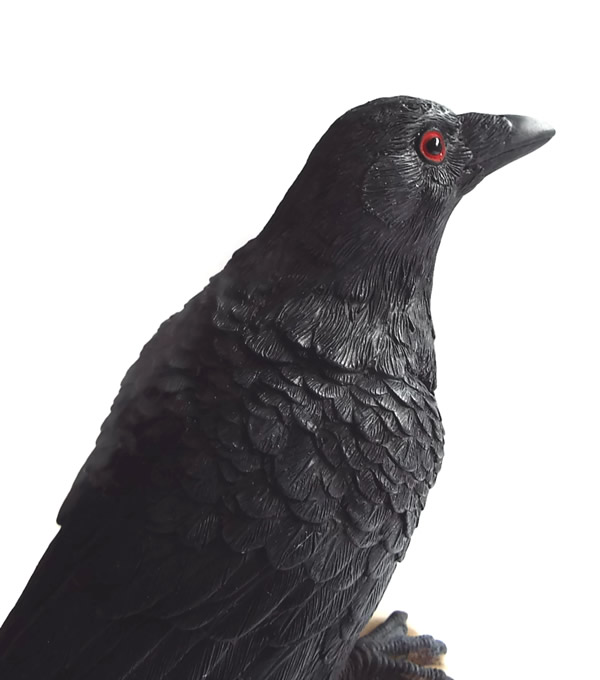 Naturalistic Raven on Skull Ornament Detail