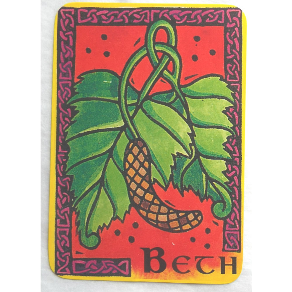 Celtic Oracle Cards and Book Beth