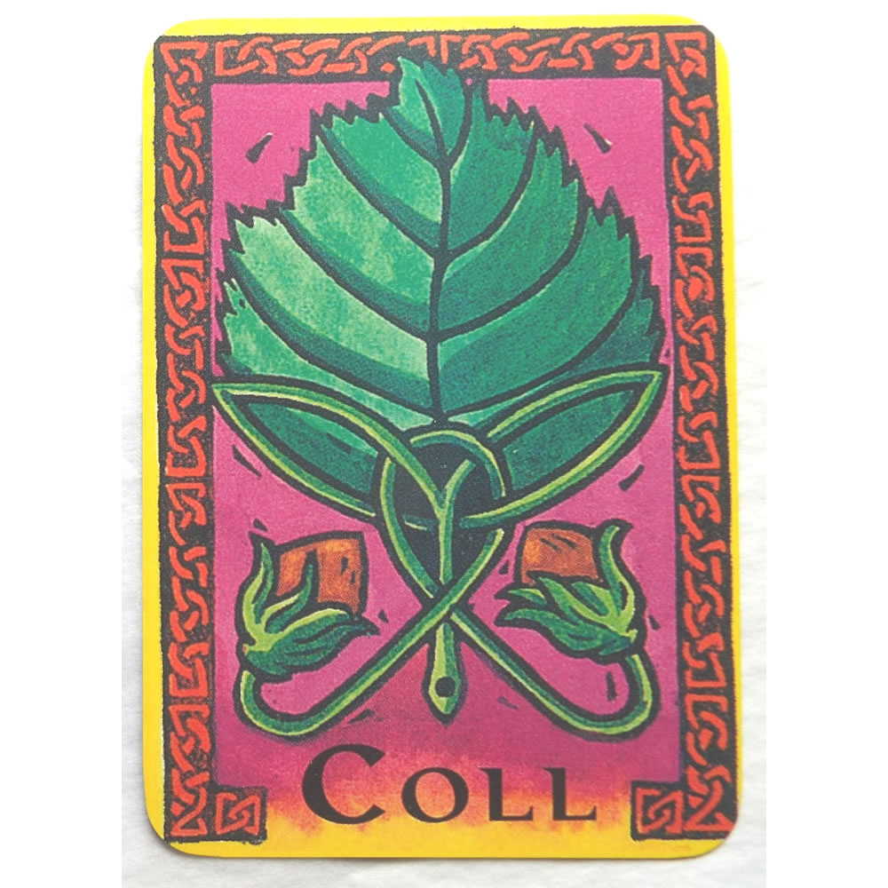 Celtic Oracle Cards and Book Coll