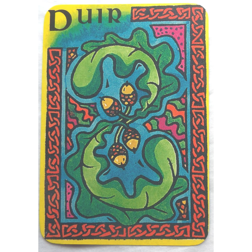 Celtic Oracle Cards and Book Duir