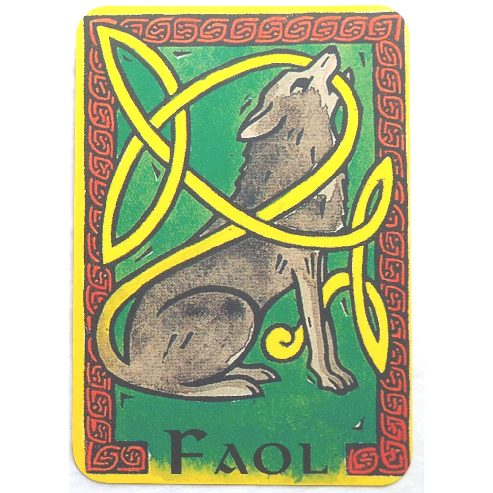 Celtic Oracle Cards and Book Faul