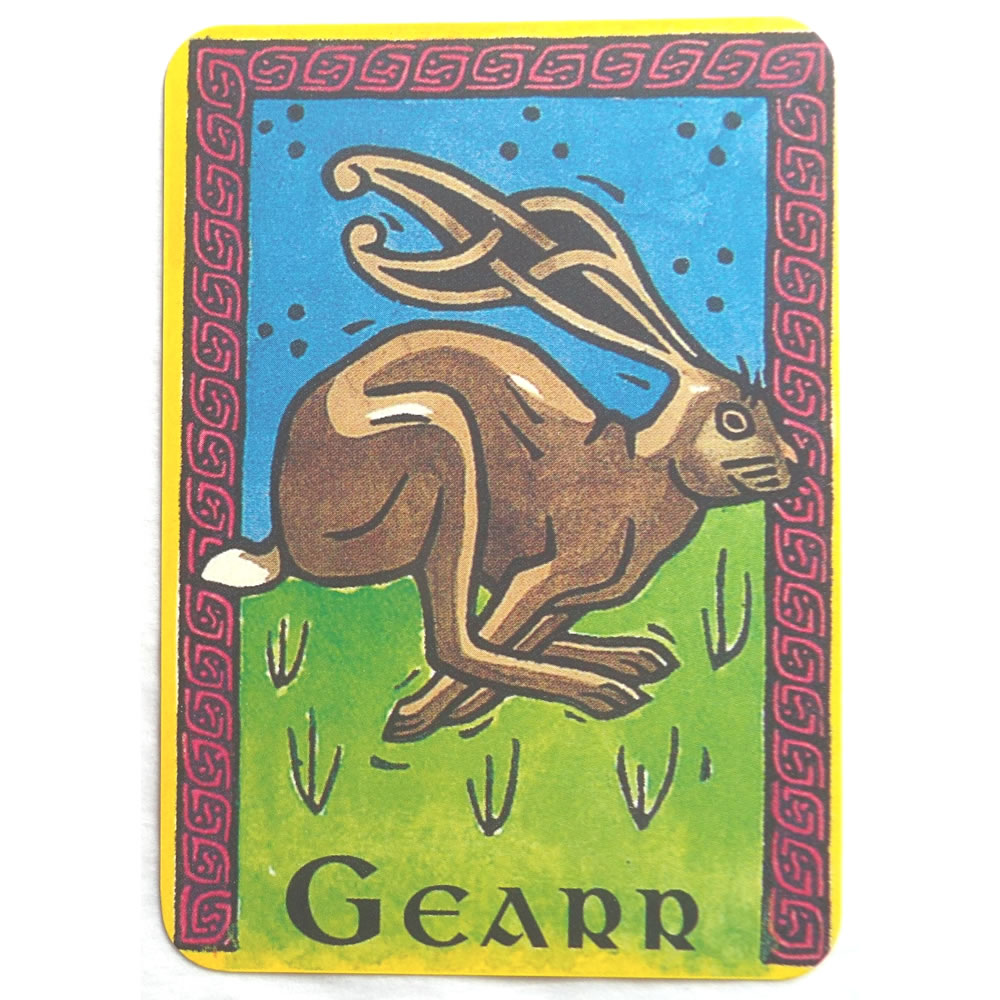 Celtic Oracle Cards and Book Hare