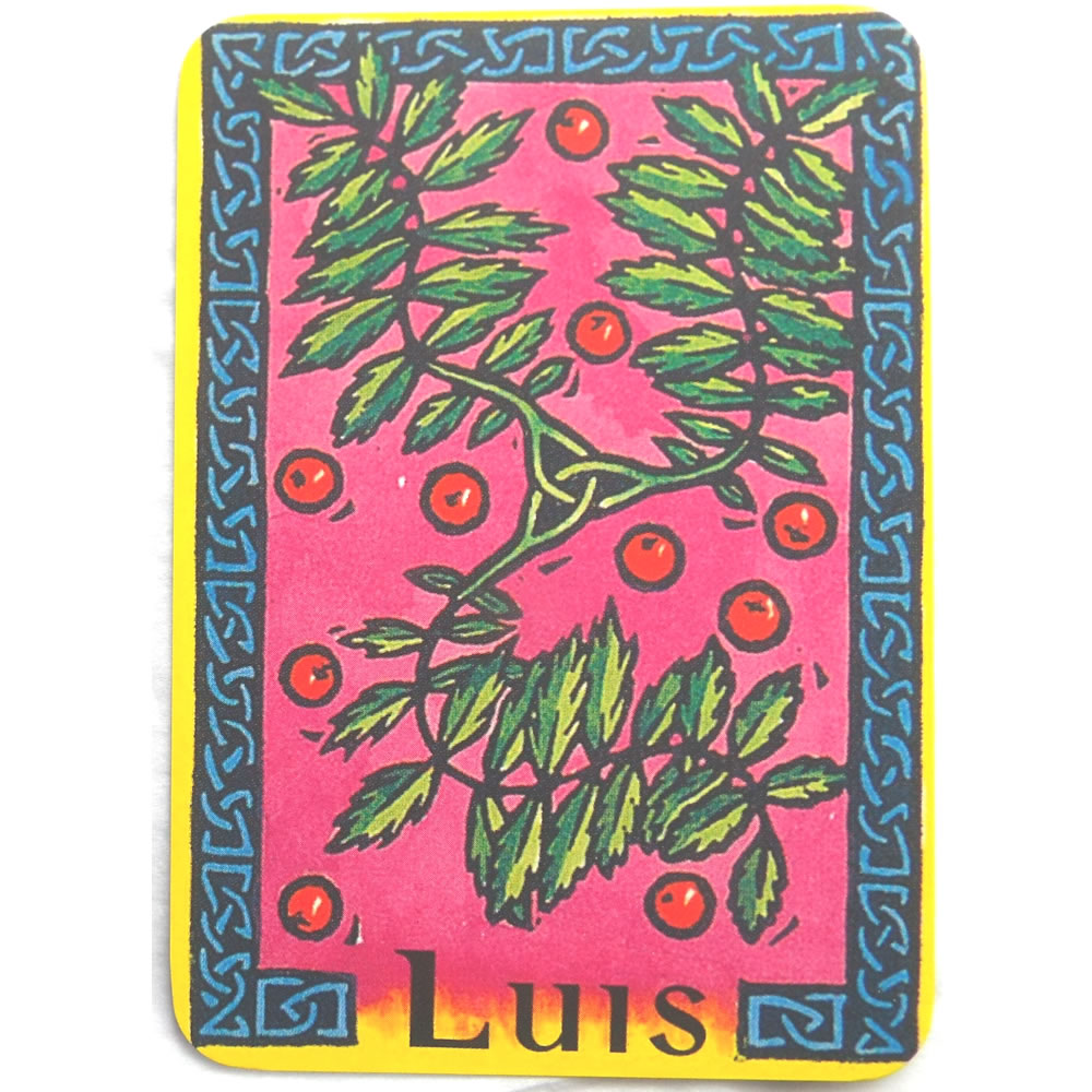 Celtic Oracle Cards and Book Luis
