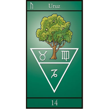 Wicca Cards Divination Kit Tree