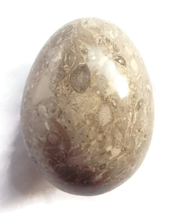 50mm Ocean Jasper Egg Detail