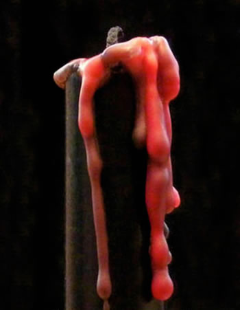 Weeping Rose Vampire Tears Candle