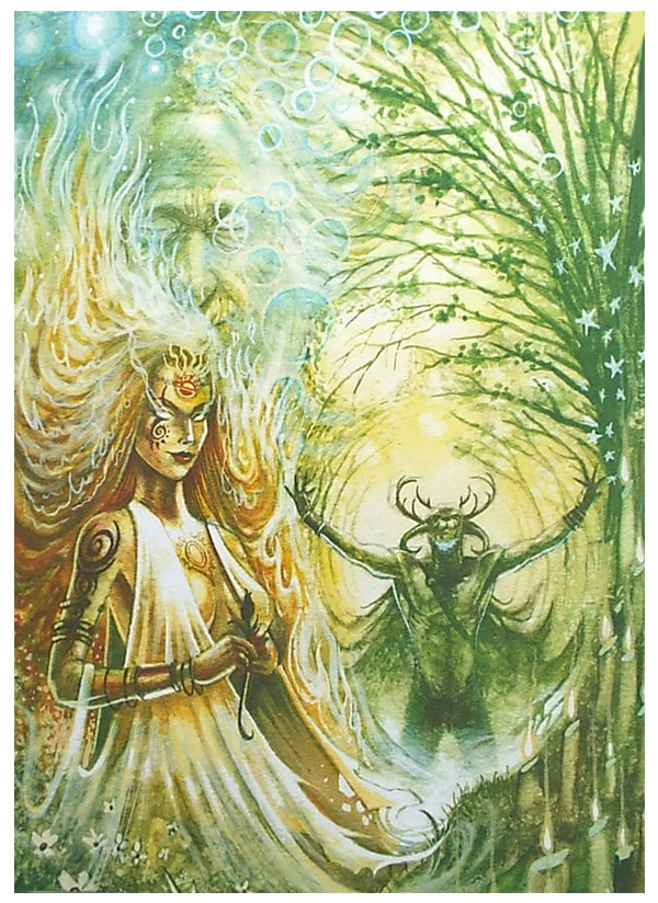 Imbolc Greetings Card by Neil Sims