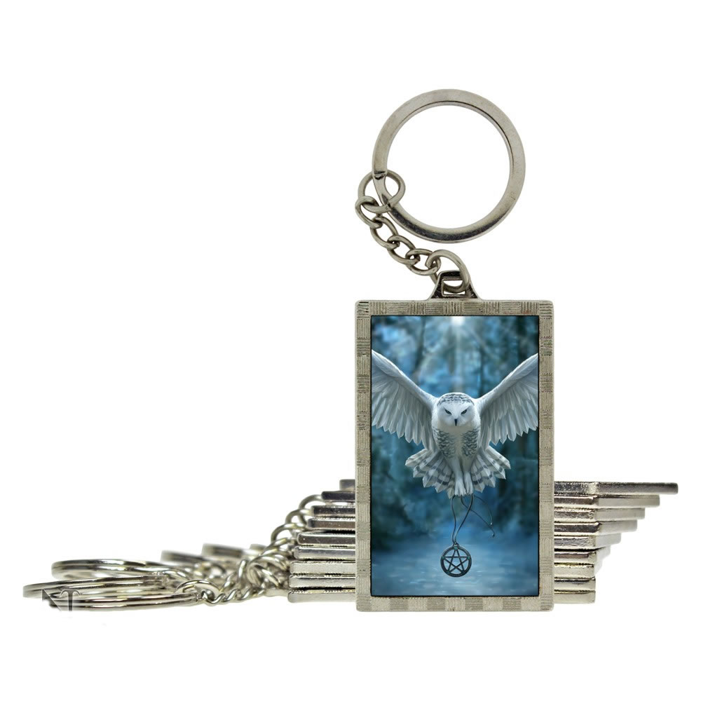 Awaken Your Magic White Owl 3D Key Ring