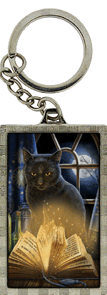 Bewitched Black Cat 3D Key Ring