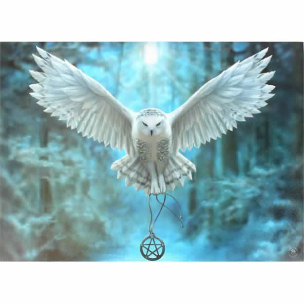 Anne Stokes Awaken Your Magic Wall Art Canvas