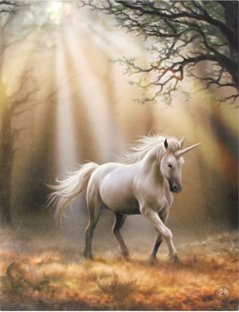 Anne Stokes Glimpse of a Unicorn Wall Art Canvas