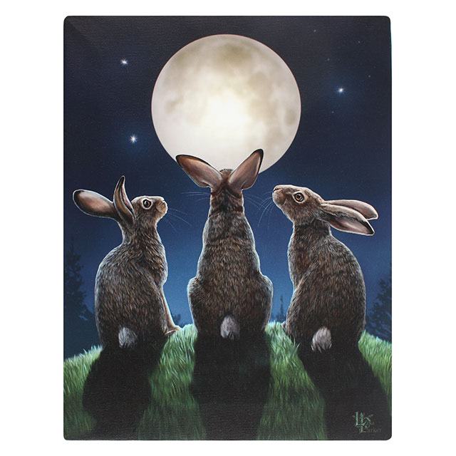 Lisa Parker Moon Shadows Wall Art Canvas