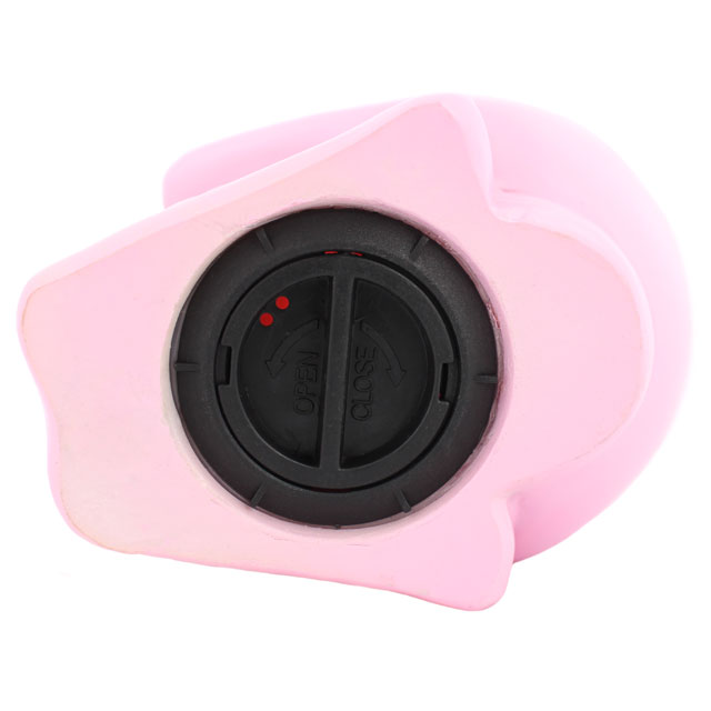Pink Day of the Dead Sugar Skull Money Box Closure