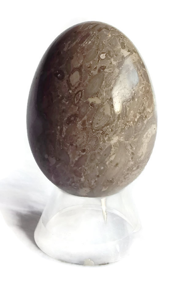 50mm Ocean Jasper Egg